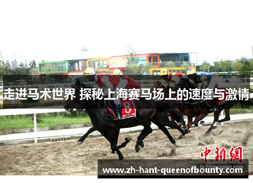 走进马术世界 探秘上海赛马场上的速度与激情
