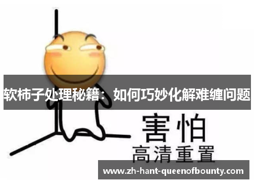 软柿子处理秘籍：如何巧妙化解难缠问题