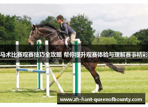 马术比赛观赛技巧全攻略 帮你提升观赛体验与理解赛事精彩